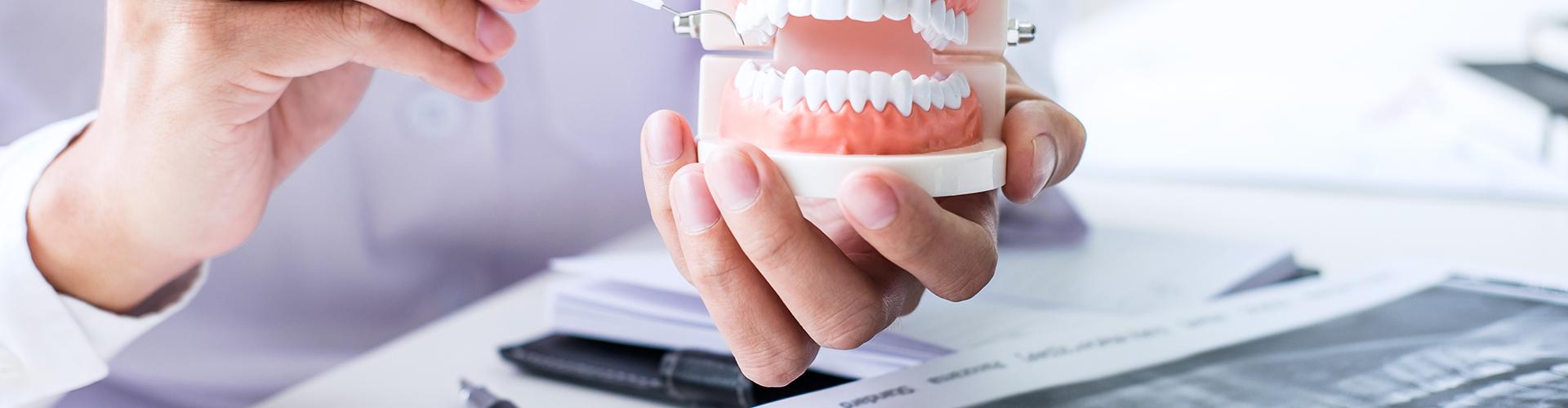 Vracaric Dóra Vracaric Dóra